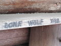 Lone Wolf.JPG