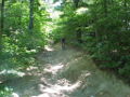 Sam on the trail.jpg